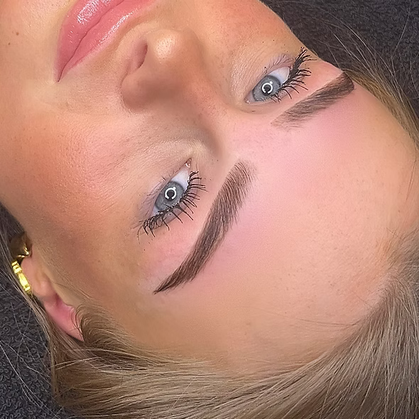 Training: Hybrid Brows & Brow Mapping